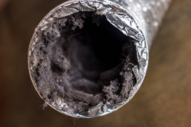 Best HVAC System Cleaning  in Archie, MO