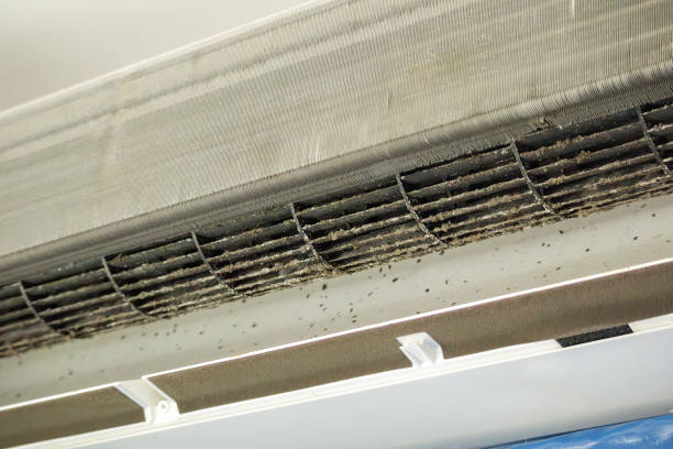 Best General Air Duct Cleaning  in Archie, MO